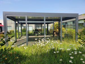 Châssis sous pergola